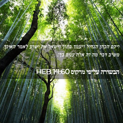 Picture 02 - הבשורה על־פי מרקוס 14:60 HEB - ויקם הכהן הגדול ויעמד בתוך - Bible Verse Picture