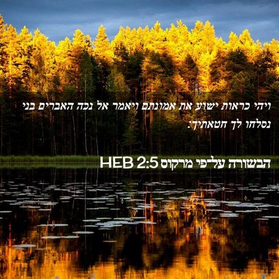 Picture 02 - הבשורה על־פי מרקוס 2:5 HEB - ויהי כראות ישוע את אמונתם - Bible Verse Picture