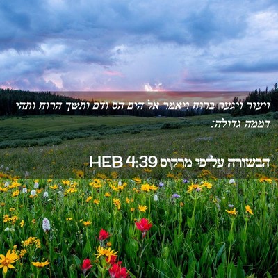 Picture 02 - הבשורה על־פי מרקוס 4:39 HEB - ויעור ויגער ברוח ויאמר אל - Bible Verse Picture