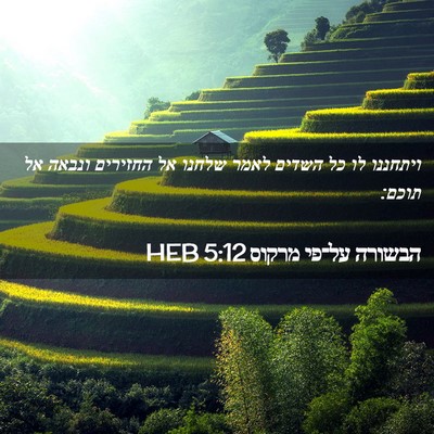 Picture 02 - הבשורה על־פי מרקוס 5:12 HEB - ויתחננו לו כל השדים לאמר - Bible Verse Picture