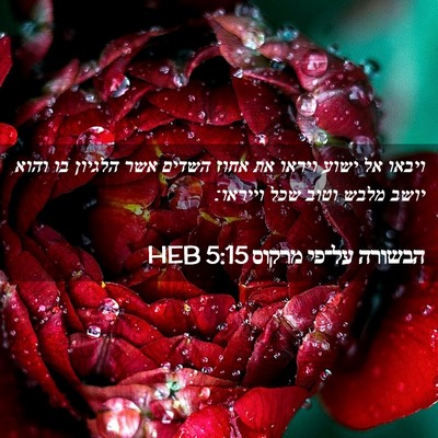 Picture 02 - הבשורה על־פי מרקוס 5:15 HEB - ויבאו אל ישוע ויראו את אחוז - Bible Verse Picture