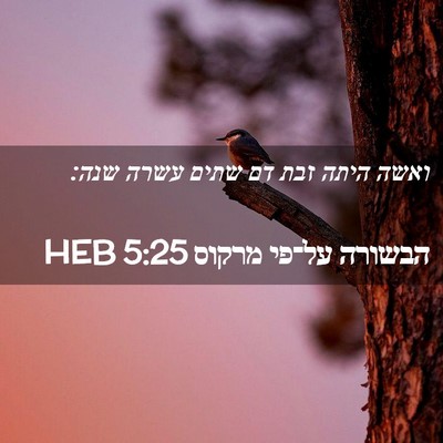 Picture 02 - הבשורה על־פי מרקוס 5:25 HEB - ואשה היתה זבת דם שתים עשרה - Bible Verse Picture