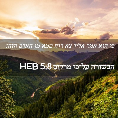 Picture 02 - הבשורה על־פי מרקוס 5:8 HEB - כי הוא אמר אליו צא רוח טמא - Bible Verse Picture