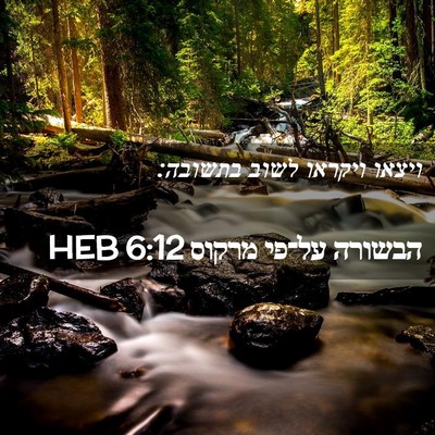 Picture 02 - הבשורה על־פי מרקוס 6:12 HEB - ויצאו ויקראו לשוב - Bible Verse Picture