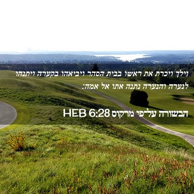 Picture 02 - הבשורה על־פי מרקוס 6:28 HEB - וילך ויכרת את ראשו בבית - Bible Verse Picture