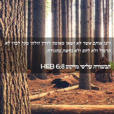 Picture 02 - הבשורה על־פי מרקוס 6:8 HEB - ויצו אותם אשר לא ישאו מאומה - Bible Verse Picture