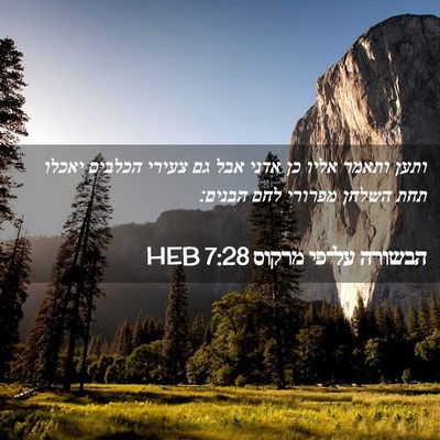 Picture 02 - הבשורה על־פי מרקוס 7:28 HEB - ותען ותאמר אליו כן אדני אבל - Bible Verse Picture