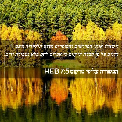 Picture 02 - הבשורה על־פי מרקוס 7:5 HEB - וישאלו אותו הפרושים - Bible Verse Picture
