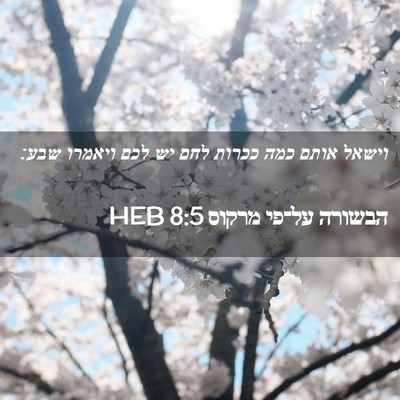 Picture 02 - הבשורה על־פי מרקוס 8:5 HEB - וישאל אותם כמה ככרות לחם יש - Bible Verse Picture