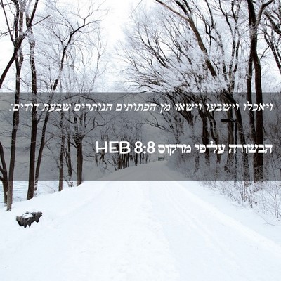 Picture 02 - הבשורה על־פי מרקוס 8:8 HEB - ויאכלו וישבעו וישאו מן - Bible Verse Picture