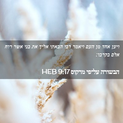 Picture 02 - הבשורה על־פי מרקוס 9:17 HEB - ויען אחד מן העם ויאמר רבי - Bible Verse Picture
