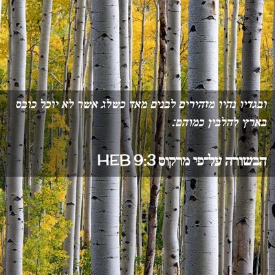 Picture 02 - הבשורה על־פי מרקוס 9:3 HEB - ובגדיו נהיו מזהירים לבנים - Bible Verse Picture