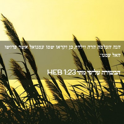 Picture 02 - הבשורה על־פי מתי 1:23 HEB - הנה העלמה הרה וילדת בן - Bible Verse Picture