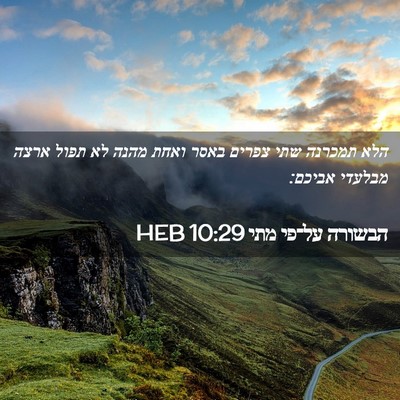 Picture 02 - הבשורה על־פי מתי 10:29 HEB - הלא תמכרנה שתי צפרים באסר - Bible Verse Picture