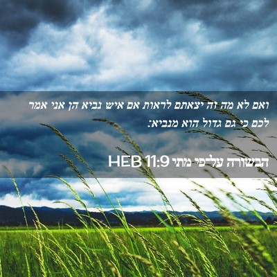 Picture 02 - הבשורה על־פי מתי 11:9 HEB - ואם לא מה זה יצאתם לראות אם - Bible Verse Picture