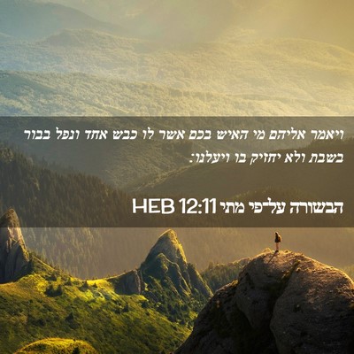 Picture 02 - הבשורה על־פי מתי 12:11 HEB - ויאמר אליהם מי האיש בכם אשר - Bible Verse Picture