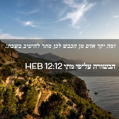 Picture 02 - הבשורה על־פי מתי 12:12 HEB - ומה יקר אדם מן הכבש לכן מתר - Bible Verse Picture