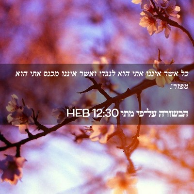Picture 02 - הבשורה על־פי מתי 12:30 HEB - כל אשר איננו אתי הוא לנגדי - Bible Verse Picture