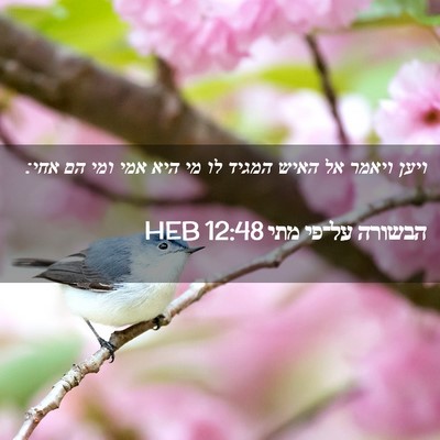 Picture 02 - הבשורה על־פי מתי 12:48 HEB - ויען ויאמר אל האיש המגיד לו - Bible Verse Picture