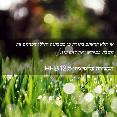 Picture 02 - הבשורה על־פי מתי 12:5 HEB - או הלא קראתם בתורה כי - Bible Verse Picture