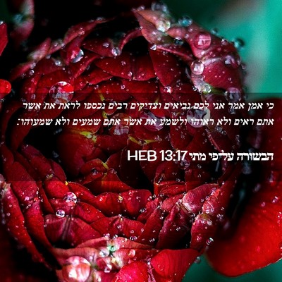 Picture 02 - הבשורה על־פי מתי 13:17 HEB - כי אמן אמר אני לכם נביאים - Bible Verse Picture