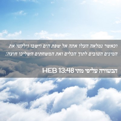 Picture 02 - הבשורה על־פי מתי 13:48 HEB - וכאשר נמלאה העלו אתה אל שפת - Bible Verse Picture