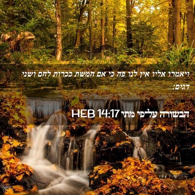Picture 02 - הבשורה על־פי מתי 14:17 HEB - ויאמרו אליו אין לנו פה כי - Bible Verse Picture