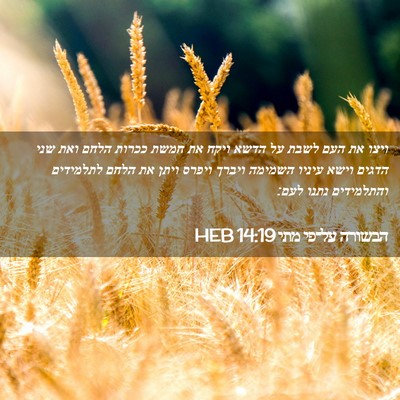 Picture 02 - הבשורה על־פי מתי 14:19 HEB - ויצו את העם לשבת על הדשא - Bible Verse Picture