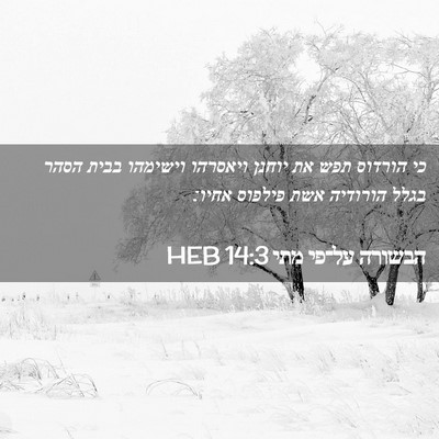 Picture 02 - הבשורה על־פי מתי 14:3 HEB - כי הורדוס תפש את יוחנן - Bible Verse Picture