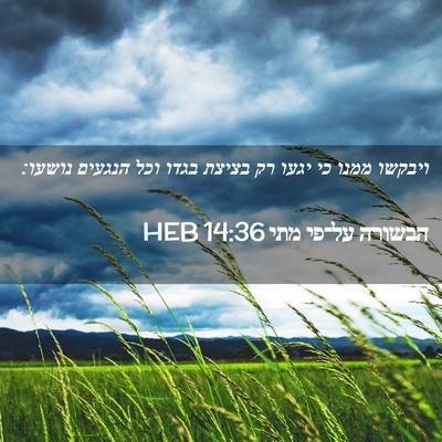 Picture 02 - הבשורה על־פי מתי 14:36 HEB - ויבקשו ממנו כי יגעו רק - Bible Verse Picture
