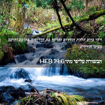 Picture 02 - הבשורה על־פי מתי 14:6 HEB - ויהי ביום הלדת הורדוס - Bible Verse Picture