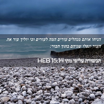 Picture 02 - הבשורה על־פי מתי 15:14 HEB - הניחו אותם מנהלים עורים - Bible Verse Picture