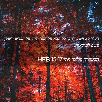 Picture 02 - הבשורה על־פי מתי 15:17 HEB - העוד לא תשכילו כי כל הבא אל - Bible Verse Picture