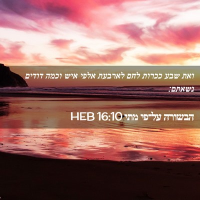 Picture 02 - הבשורה על־פי מתי 16:10 HEB - ואת שבע ככרות לחם לארבעת - Bible Verse Picture