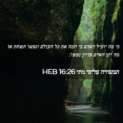 Picture 02 - הבשורה על־פי מתי 16:26 HEB - כי מה יועיל האדם כי יקנה את - Bible Verse Picture