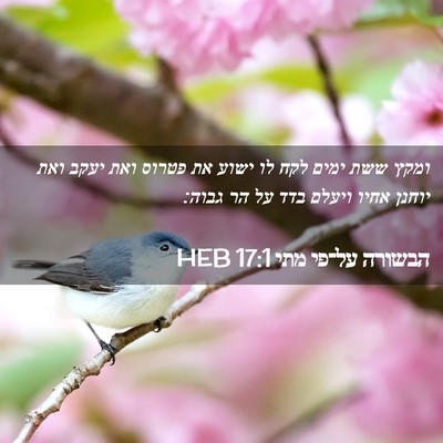 Picture 02 - הבשורה על־פי מתי 17:1 HEB - ומקץ ששת ימים לקח לו ישוע - Bible Verse Picture