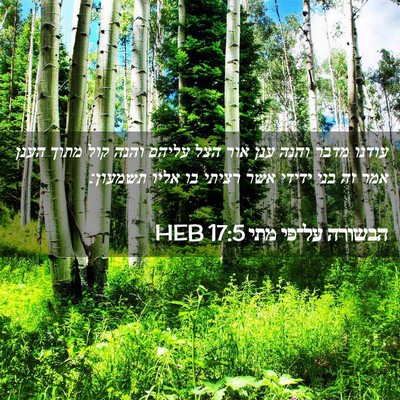 Picture 02 - הבשורה על־פי מתי 17:5 HEB - עודנו מדבר והנה ענן אור הצל - Bible Verse Picture
