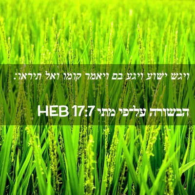 Picture 02 - הבשורה על־פי מתי 17:7 HEB - ויגש ישוע ויגע בם ויאמר - Bible Verse Picture