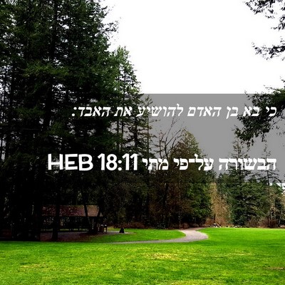Picture 02 - הבשורה על־פי מתי 18:11 HEB - כי בא בן האדם להושיע את - Bible Verse Picture