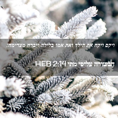 Picture 02 - הבשורה על־פי מתי 2:14 HEB - ויקם ויקח את הילד ואת אמו - Bible Verse Picture