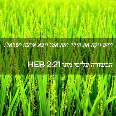 Picture 02 - הבשורה על־פי מתי 2:21 HEB - ויקם ויקח את הילד ואת אמו - Bible Verse Picture