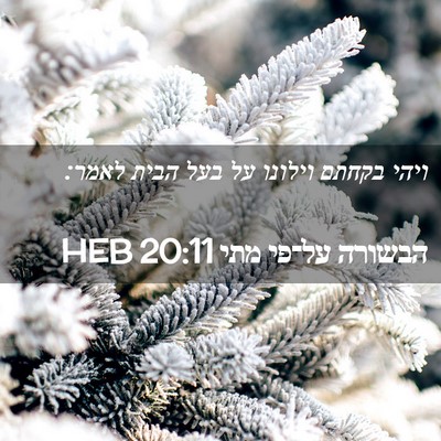 Picture 02 - הבשורה על־פי מתי 20:11 HEB - ויהי בקחתם וילונו על בעל - Bible Verse Picture