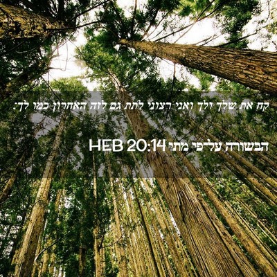 Picture 02 - הבשורה על־פי מתי 20:14 HEB - קח את שלך ולך ואני רצוני - Bible Verse Picture