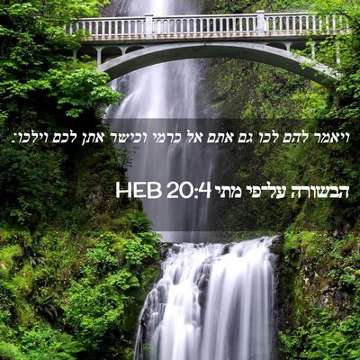 Picture 02 - הבשורה על־פי מתי 20:4 HEB - ויאמר להם לכו גם אתם אל - Bible Verse Picture
