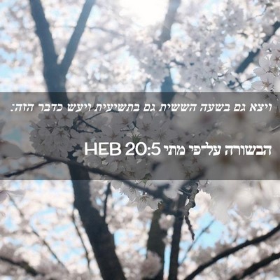 Picture 02 - הבשורה על־פי מתי 20:5 HEB - ויצא גם בשעה הששית גם - Bible Verse Picture
