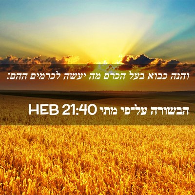 Picture 02 - הבשורה על־פי מתי 21:40 HEB - והנה כבוא בעל הכרם מה יעשה - Bible Verse Picture