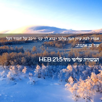 Picture 02 - הבשורה על־פי מתי 21:5 HEB - אמרו לבת ציון הנה מלכך יבוא - Bible Verse Picture