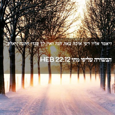 Picture 02 - הבשורה על־פי מתי 22:12 HEB - ויאמר אליו רעי איכה באת הנה - Bible Verse Picture