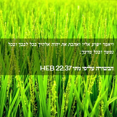 Picture 02 - הבשורה על־פי מתי 22:37 HEB - ויאמר ישוע אליו ואהבת את - Bible Verse Picture