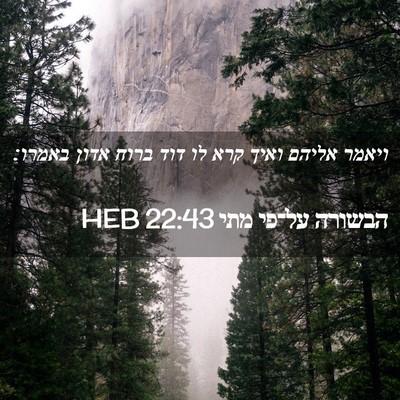 Picture 02 - הבשורה על־פי מתי 22:43 HEB - ויאמר אליהם ואיך קרא לו דוד - Bible Verse Picture